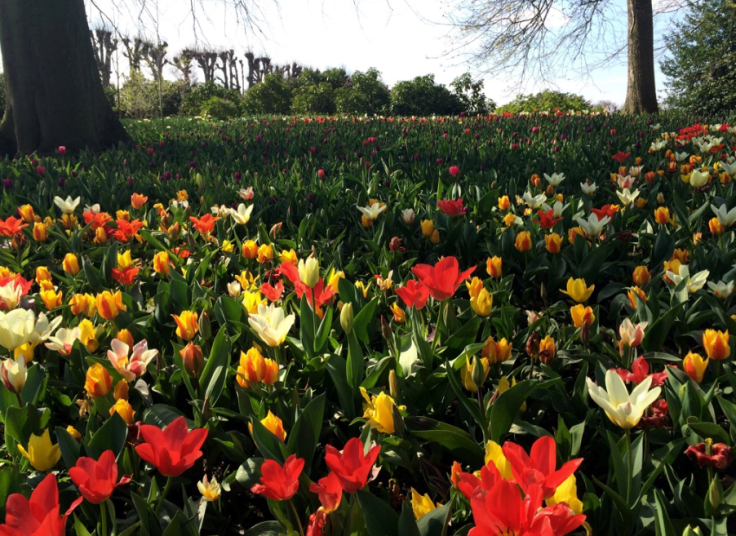 Schermafbeelding 2015-04-14 om 14.23.48