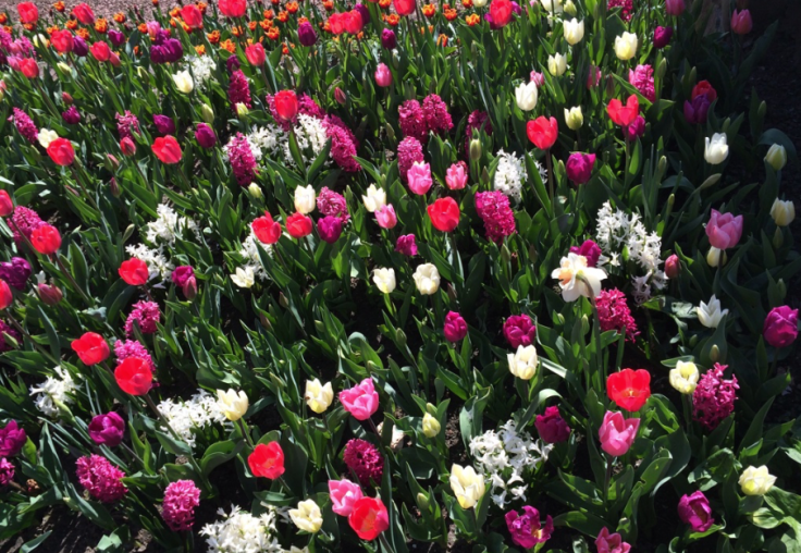 Schermafbeelding 2015-04-14 om 14.24.16