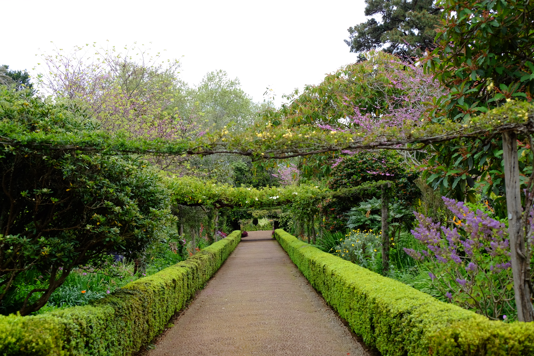 19481394-45DA-4579-8517-19E43C4D2BEF-59430-00002394450F3EDB