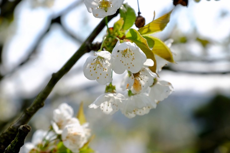 549b5773-c42d-4cdf-a56b-172756ba81bd-61632-000024fa48cb1e42