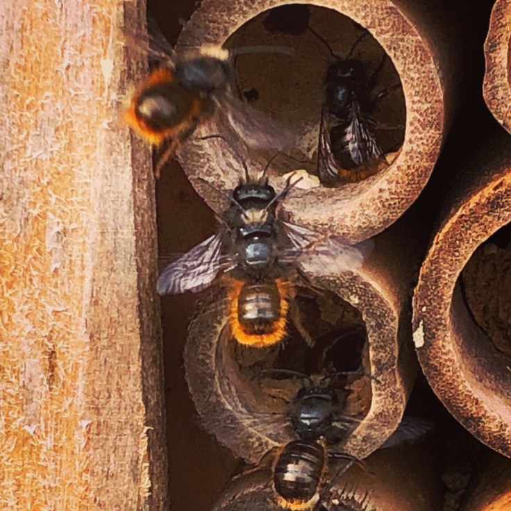 b971ff08-6742-4ab7-8404-13a4cdb03fbf