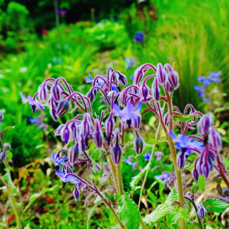 09E7C384-B95D-422D-BC12-74541AD05FBE