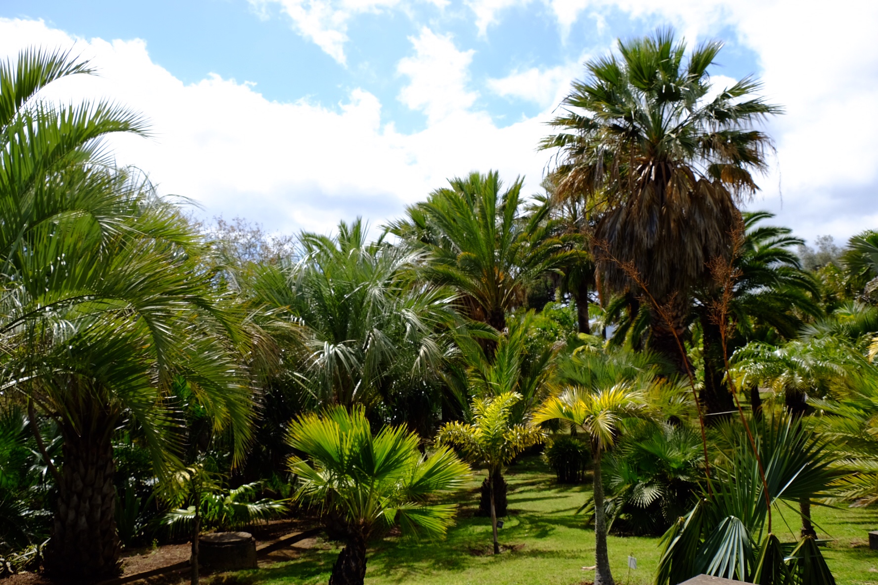 55b9414b-206d-4931-a024-40578efc7069-53362-000021bb31025a23