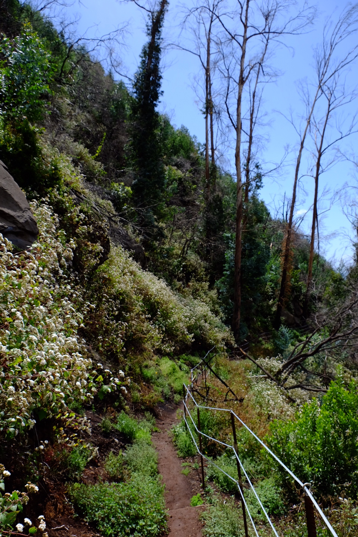 7fd91b79-beef-4014-b963-9cbeaccbdda3-53362-000021b96decbe08