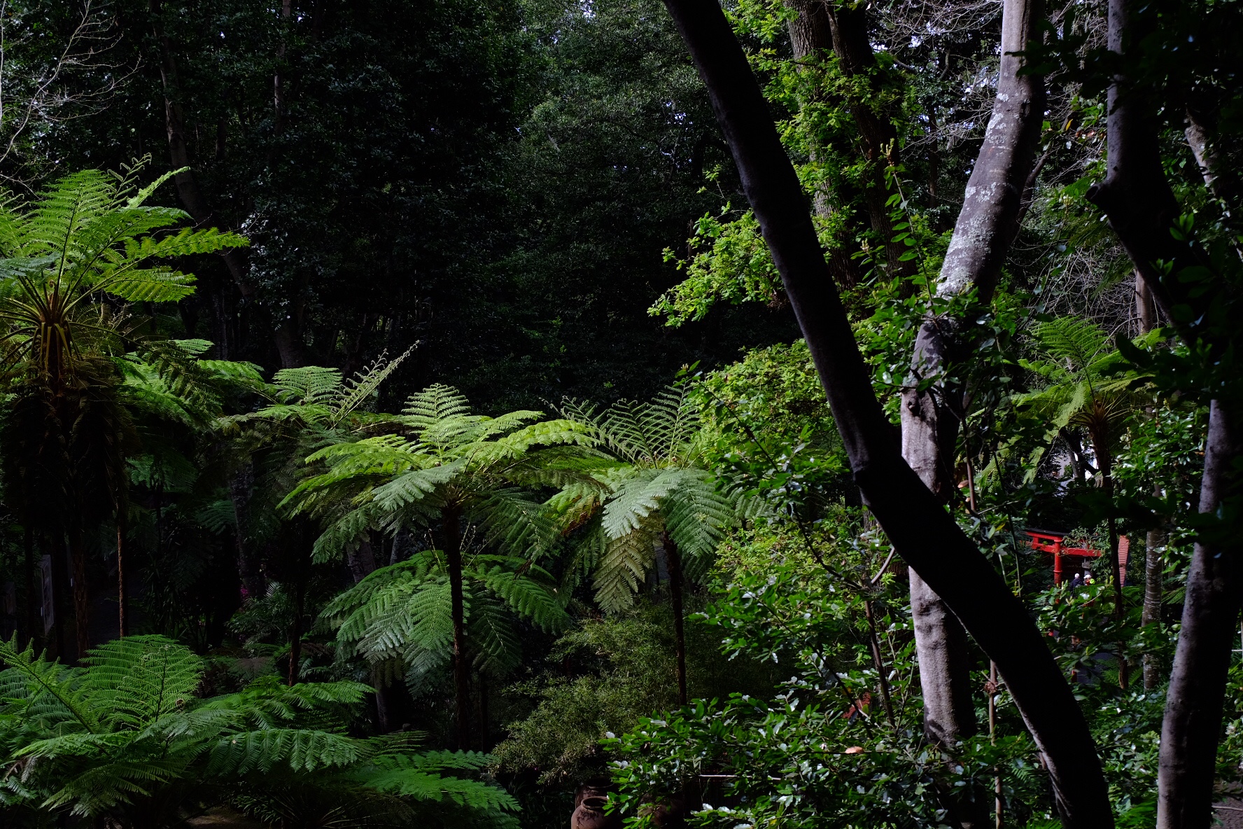 dae2f867-f0f2-4d8c-b86c-4600b4f61364-53362-000021b82031ba3a