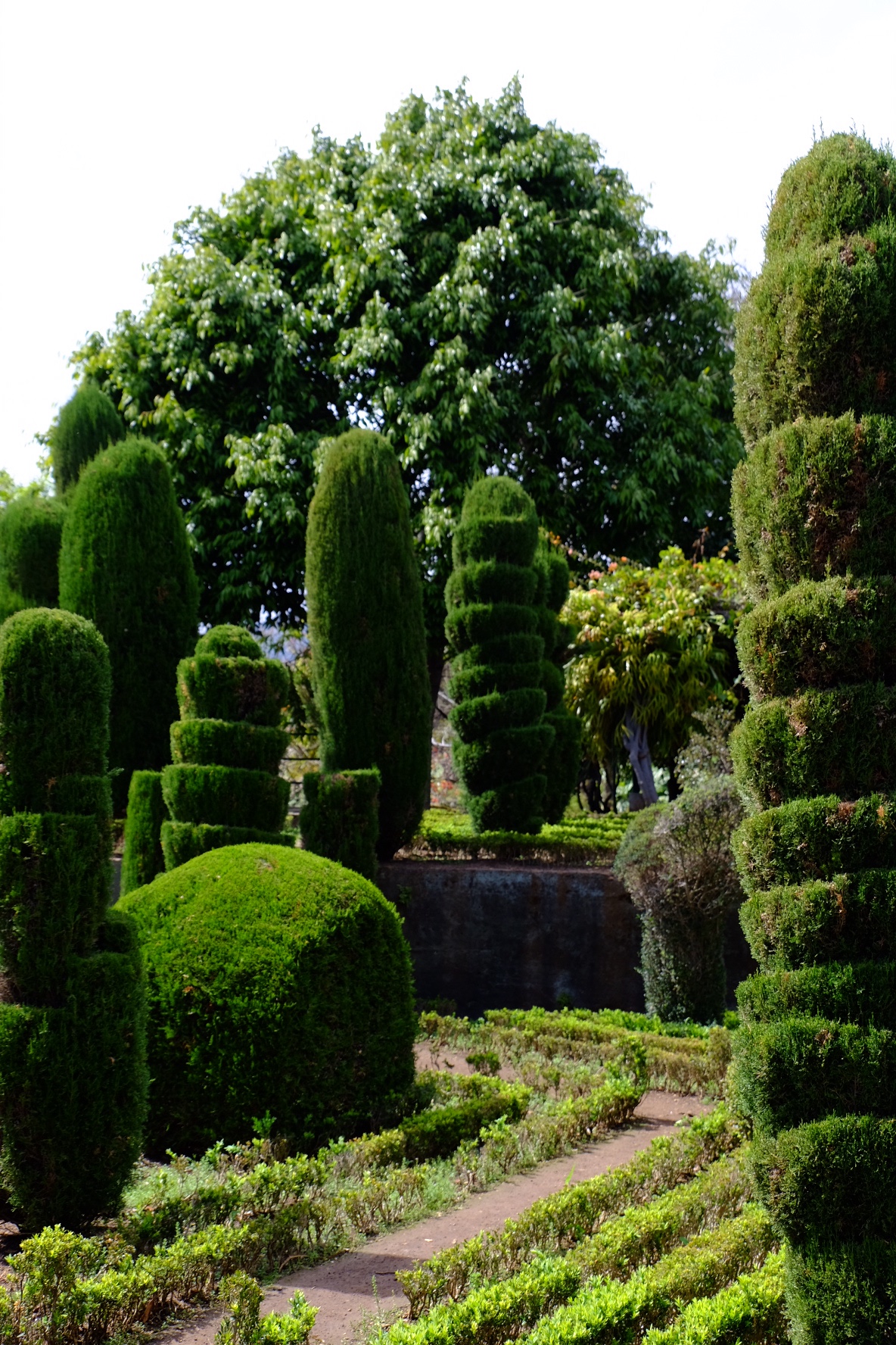 de1927f7-1585-4bee-b773-429528a5ddf8-53362-000021bb296936f0