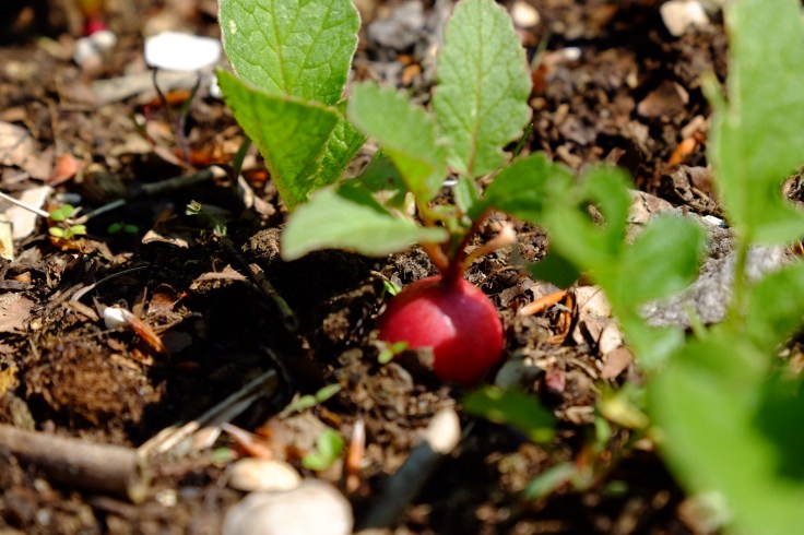 EA7D5B5B-B934-44C0-9AE6-23632AB586C3-8782-00000687AE18568C