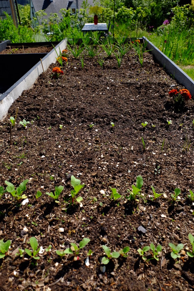 F99BBA65-45A1-414B-8896-F929661F596E-8782-00000687B27CC199