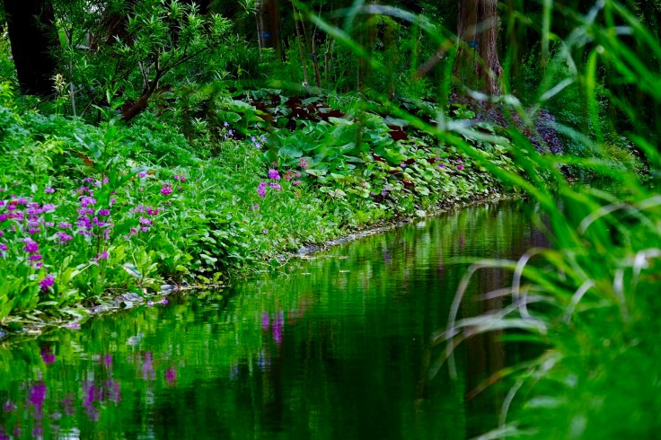 22dc8d28-f3ba-4ea7-ae69-c72782ad4a47-24987-000011feaefa17a5