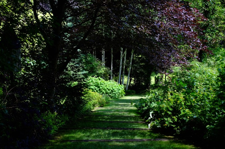 350E5073-DBED-4A18-83FA-856F6CD3B482-4950-00000473D9AC5159