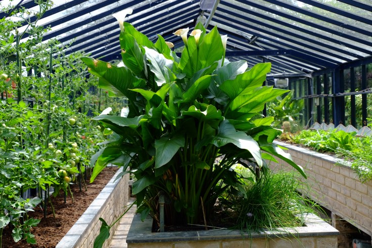 4BC6DB73-332C-4E2C-891F-1CC11A689FEC-4950-00000474AF15E35E