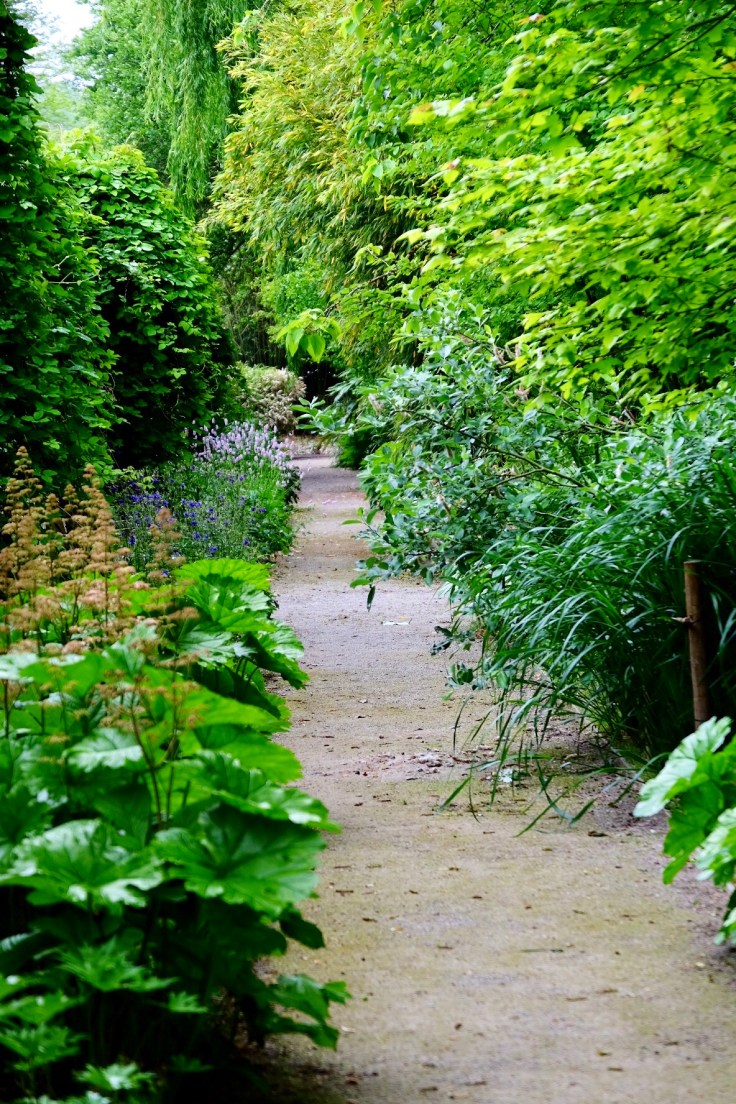 5acc0493-606a-46d0-8e1c-6dd2af3a3ff0-24987-000011fe7e747ef6