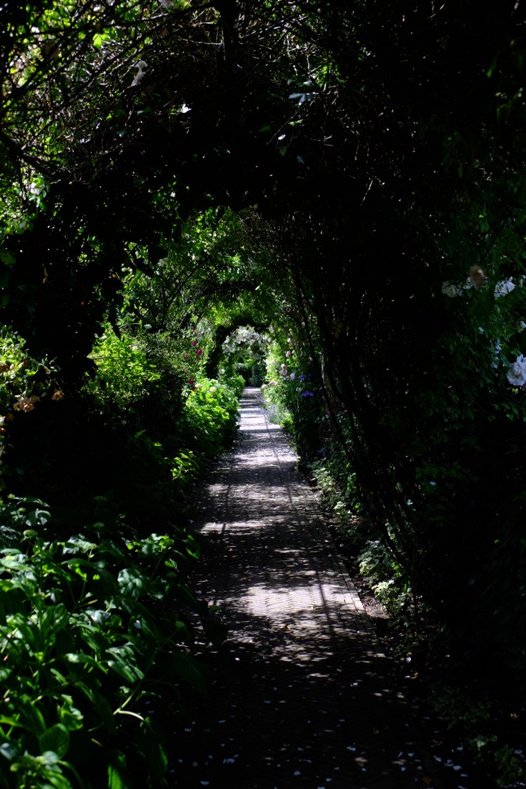 65AA8224-4CF9-47AA-8DFE-9D91A0021E58-4950-000004745F4E9AFE