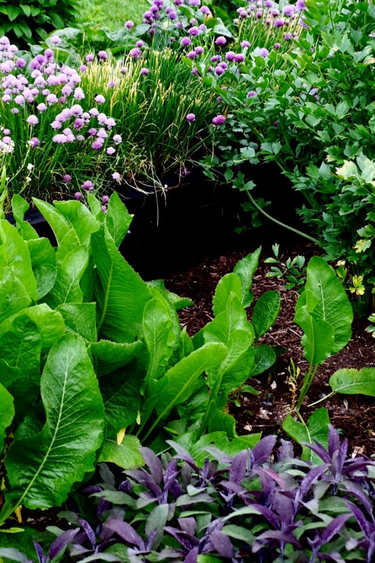 6f85e076-4b8d-4c6e-8295-0c363ee44e91-24987-000011fd01097cd3