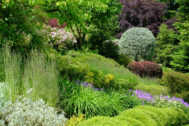 722E09B0-5FC8-4FC4-8756-7D7243185F4B-4950-0000047532D66D6E