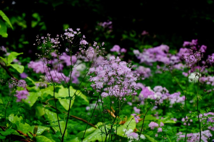 92756832-11d2-4bba-a45e-d144520ce6b3-24987-000011fd1f59d355