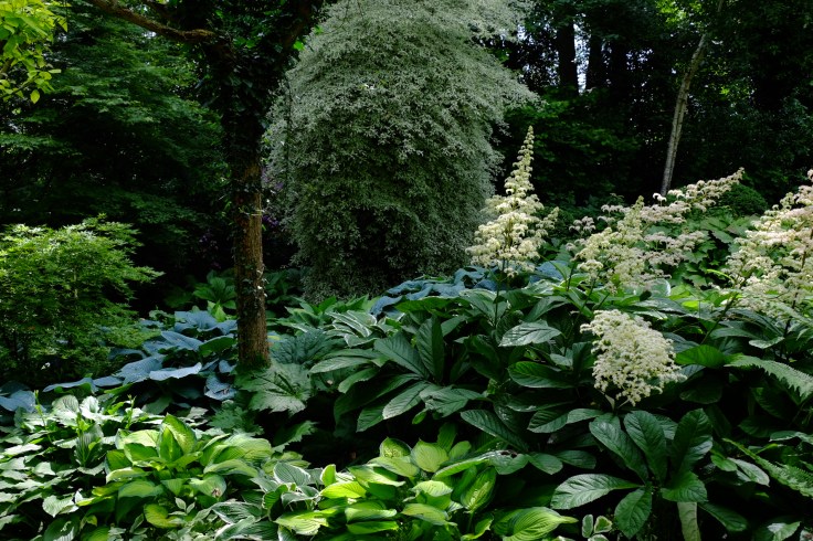 A13887D9-7207-4034-B0F4-0AE0571F5ECF-4950-000004755D82CA21