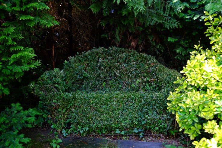 A799941C-BA01-47E2-B205-4A46102C15ED-4950-000004737D9A30E6