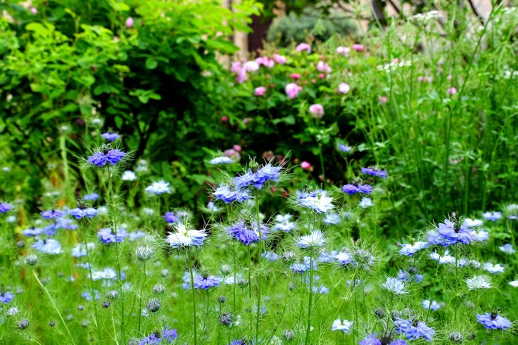 bc0a91c7-ec5b-4f9f-8f3a-92ece96f3364-26850-000012b80bbba109