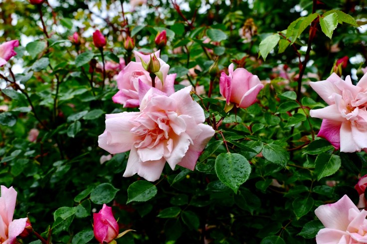 bd415b72-c6c9-4de0-ab96-7f2fe6b9493b-24987-000011fde5e8f853