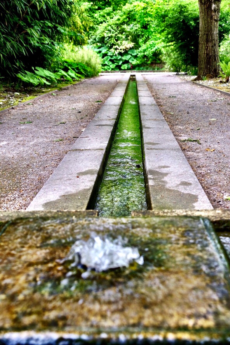 bd8d0426-c172-40fe-996c-cfd41d3fdf0f-24987-000011fe6e19c513