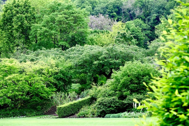 c352daa6-290e-4f11-b001-0f32e9f63aef-24987-000011fe58ce62fa