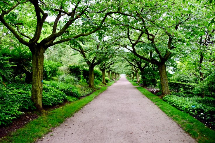 d8ca982a-ece4-4141-b974-bb9d5fa91a8f-24987-000011fa9c70542e