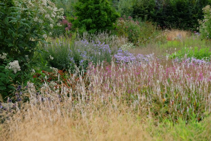 002A9783-CF0F-46E6-8A2B-9031F30B9CE4-2591-0000011FA1CD6DC4