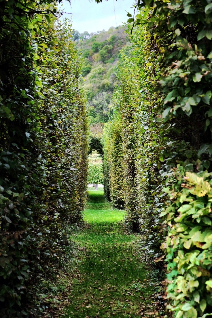 54af15b6-0768-46db-a243-b765254defe7-6146-000004fc03343e29