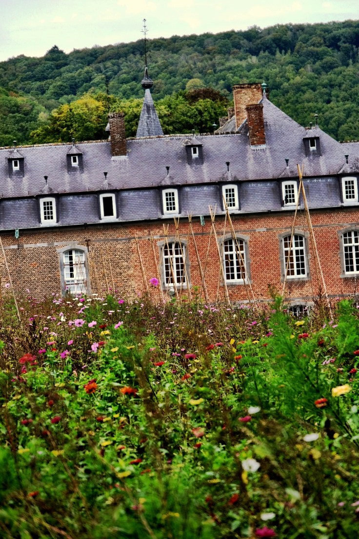 6faa1e70-8653-4bcb-b147-5fb56bf8c7a2-6146-000004fc294dff48