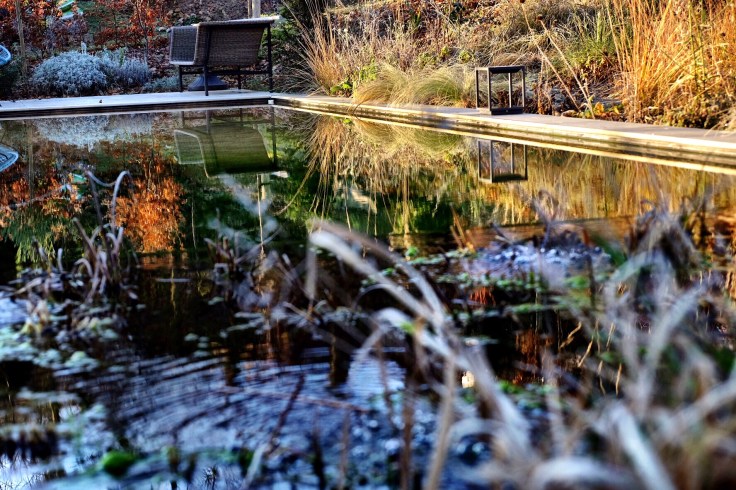 924c9165-b27b-4e34-bb20-de595374f4d1-54609-000019b548146f5d