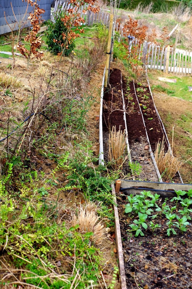 99b61960-4c82-4d4c-a9c5-81233f41e8e2-11374-000007261e0597b6