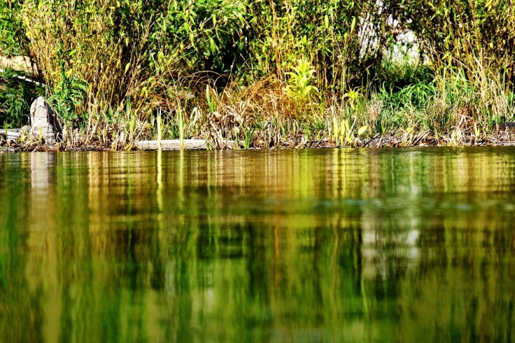 06e35f93-fb9f-48c0-933e-775fd8a9d7fb-28719-0000364063aa0492