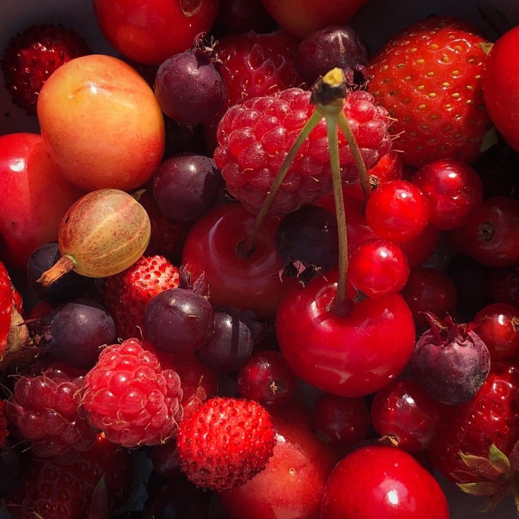 37897549-4457-4133-84f8-d8bbd9ae4f5a