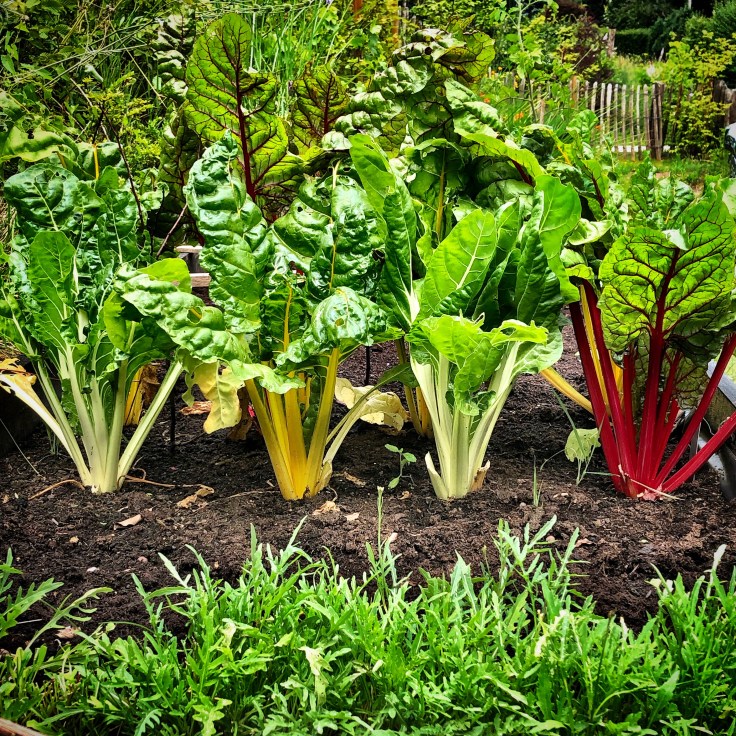 acc168a3-99c4-4907-bb3a-9b2c58812850